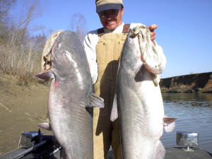 Big River Blue Catfish-Texas Style - Lake Texoma Striper Guide