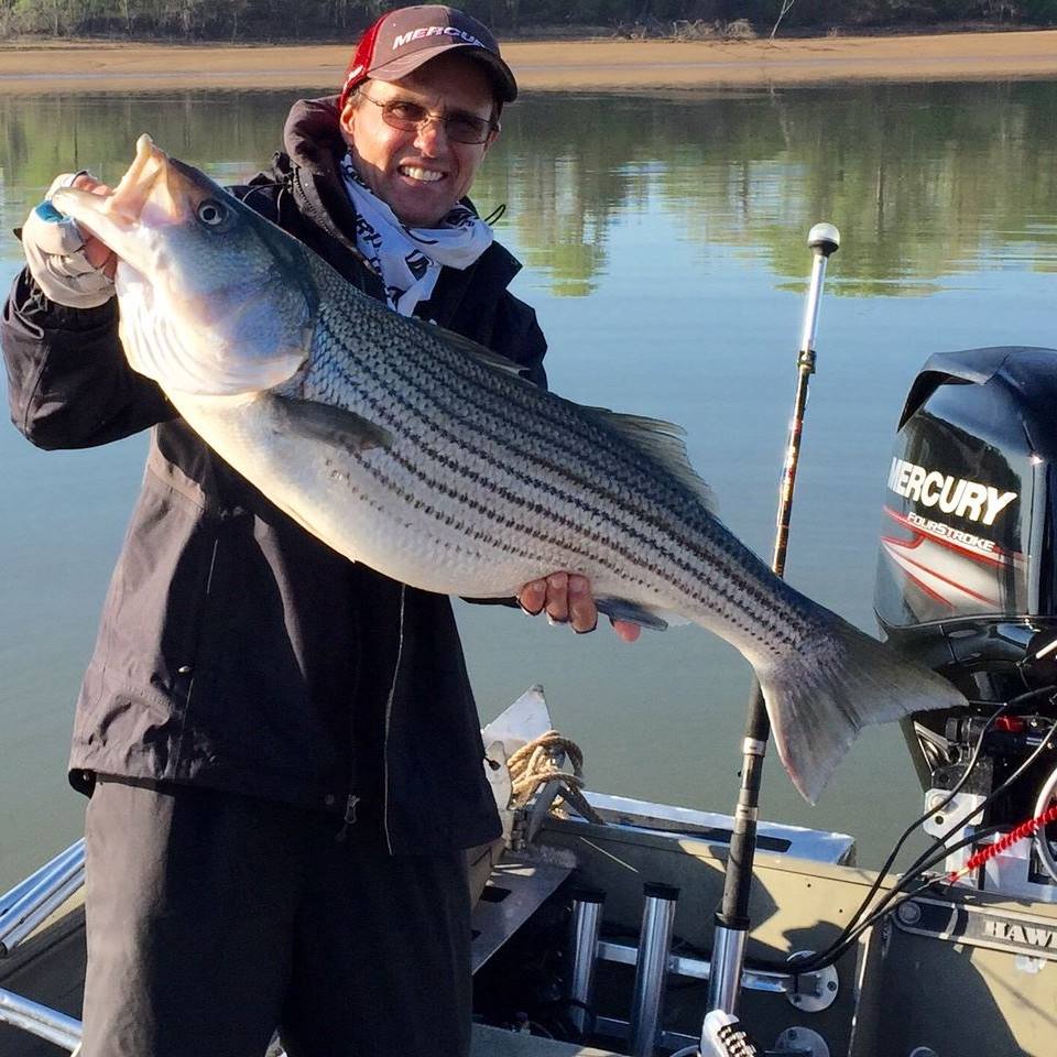 Deadsticking for Striper on Lake Texoma, Finding Lake Pattern (Day 1) 