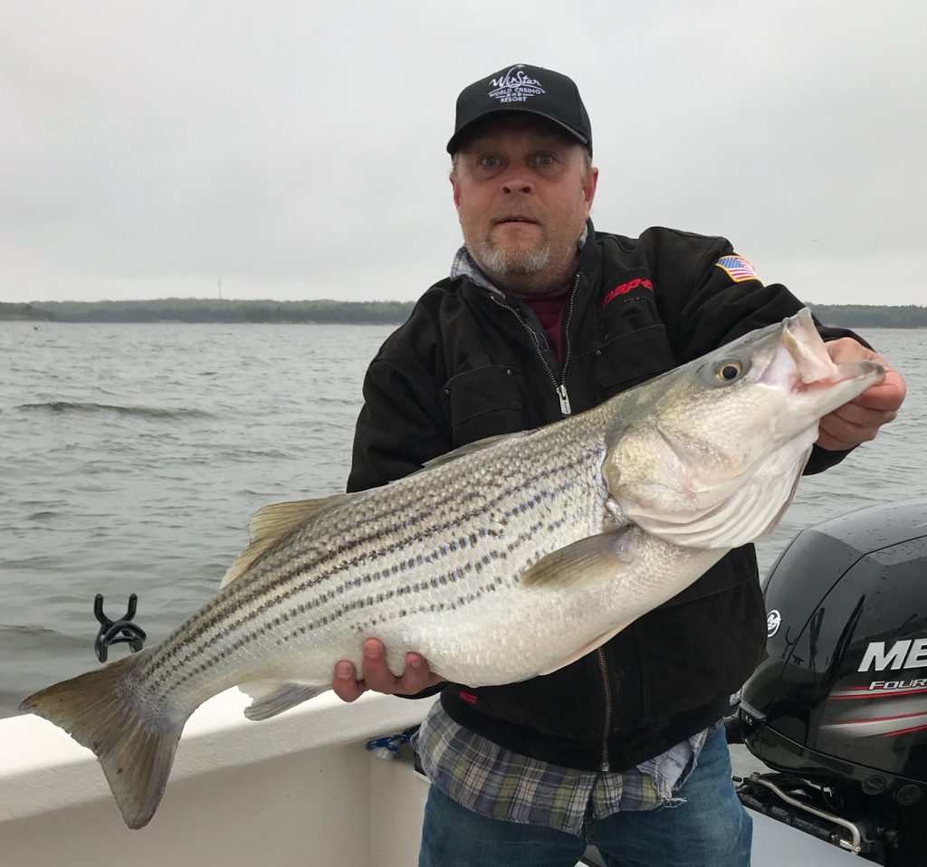 Lake Texoma Striper Guides