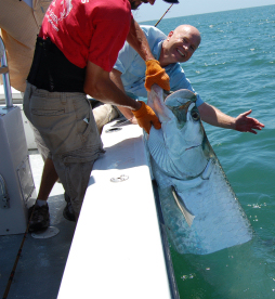 tarpon-big tarpon-big